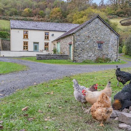 Pwll Farmhouse Llanllawdog Exterior foto